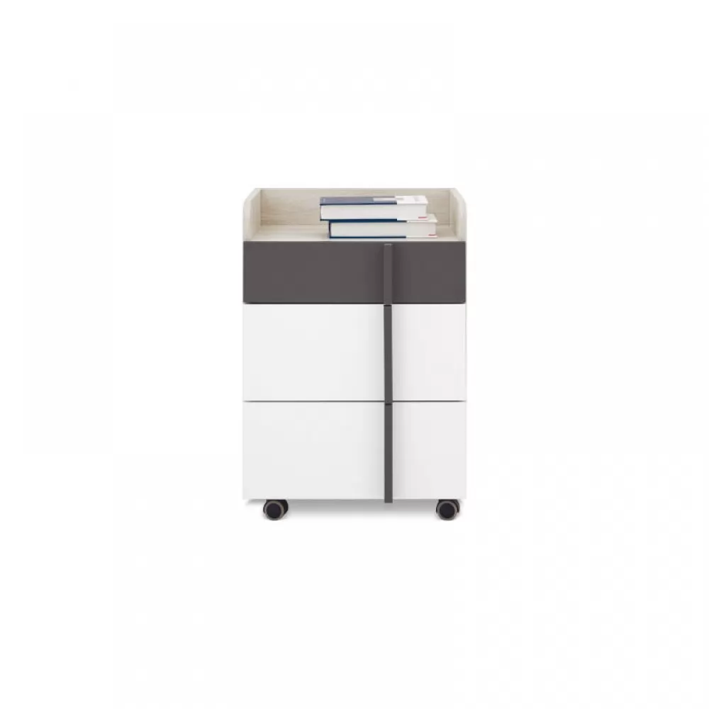 PREDALNIK NA KOLESIH REMO RM11